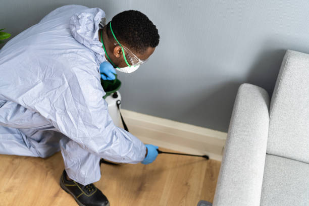 Professional Pest control in San Pablo, NM